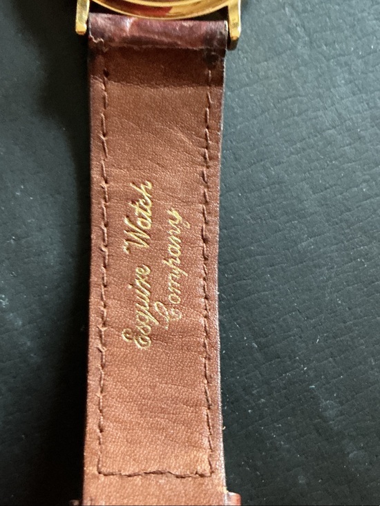 ESQ Gold-Tone Watch with Black Dial and Brown Leather Strap main image 4